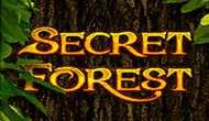Игровой автомат Secret Forest бесплатно онлайн