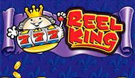 4 Reel Kings