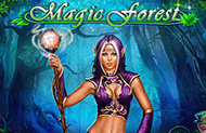 Magic Forest