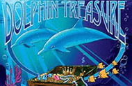 Dolphins Treasure